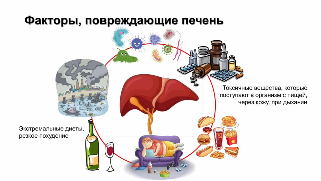 24-30 июля – Неделя профилактики заболеваний печени